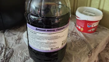 Лимонад в Ценорезе домашний по акции 64 рубля