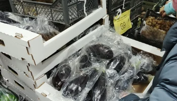 Распродажа винограда в Светофоре